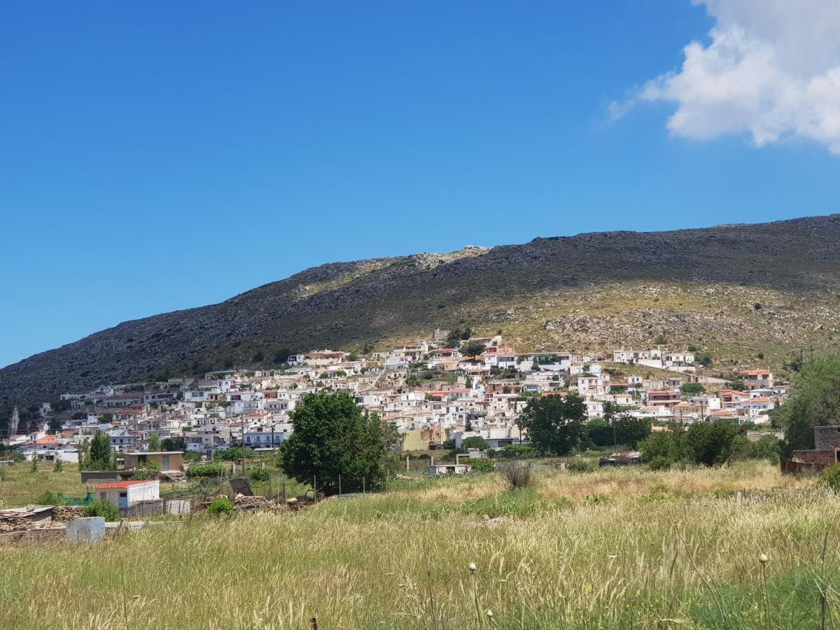 Villa Daniela & Apartments Koutsounari Dış mekan fotoğraf