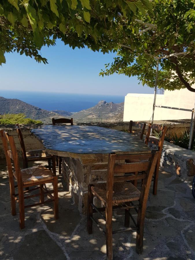 Villa Daniela & Apartments Koutsounari Dış mekan fotoğraf