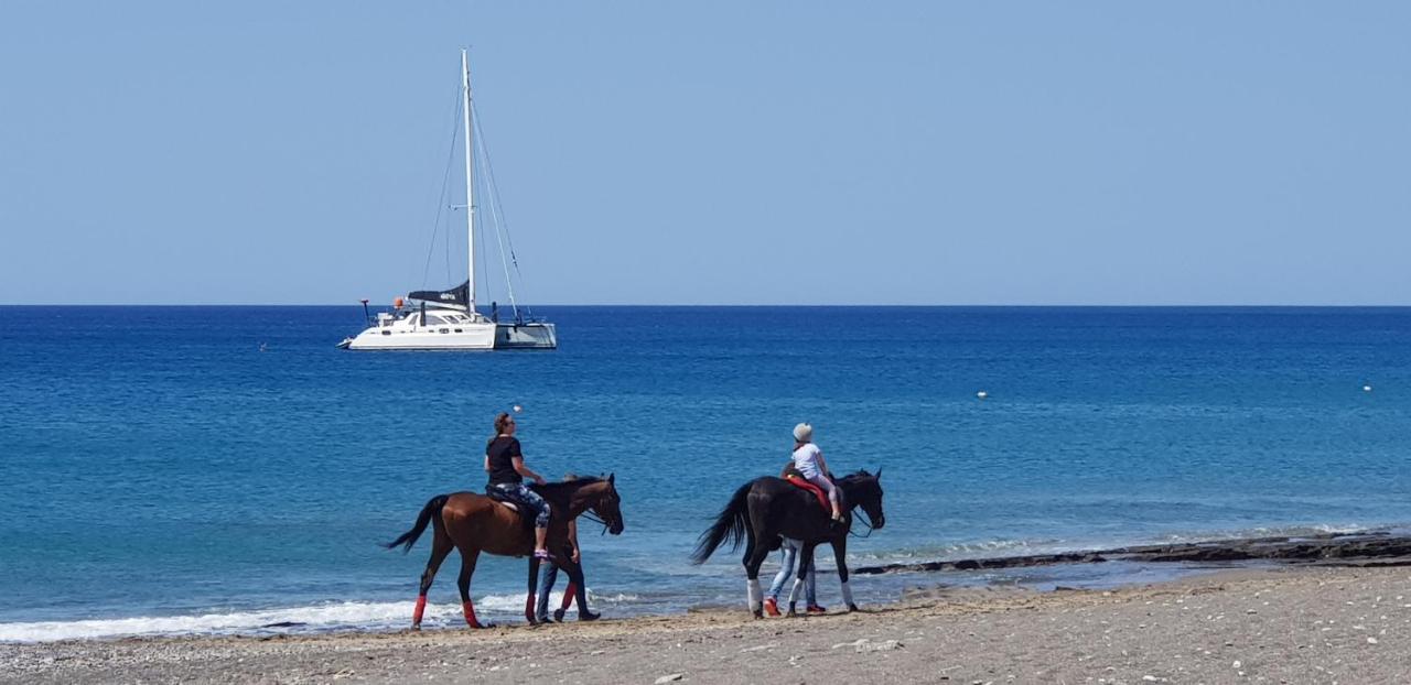 Villa Daniela & Apartments Koutsounari Dış mekan fotoğraf