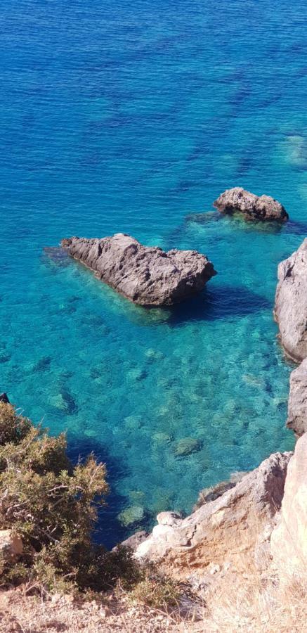 Villa Daniela & Apartments Koutsounari Dış mekan fotoğraf